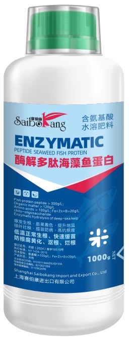 ø����ĺ����㵰��